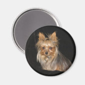 Yorkies Magnet (Vorderseite/Rückseite)