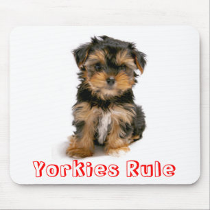 Yorkies Rule Yorkshire Terrier Puppy Hund Mousepad