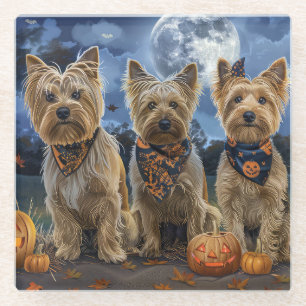 Yorkipoo Halloween Gruselig  Glasuntersetzer