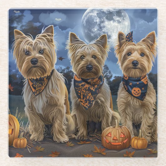 Yorkipoo Halloween Spooky Glasuntersetzer (Vorderseite)