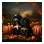 Yorkipoo Puppy Autumn Delight Pumpkin Poster (Vorderseite)