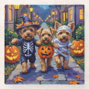 Yorkipoo Trick-or-Treating in Halloween-Kostümen Glasuntersetzer