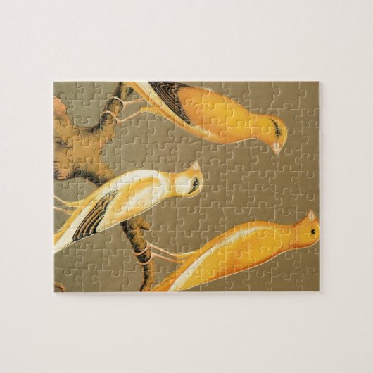 YORKSHIRE CANARIES PUZZLE (Horizontal)