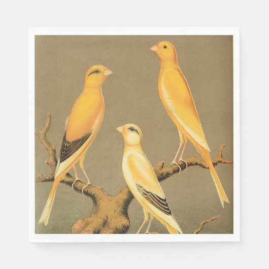 YORKSHIRE CANARIES SERVIETTE (Vorderseite)