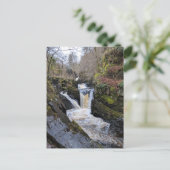 Yorkshire Dales, Ingleton - Pecca Falls Postkarte (Stehend Vorderseite)