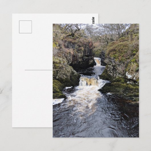 Yorkshire Dales, Ingleton - Rival Falls Postkarte (Vorne/Hinten)