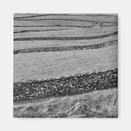 Yorkshire Dales Magnet (Vorne)
