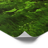 Yorkshire, Fountains Abbey, Poster (Ecke)