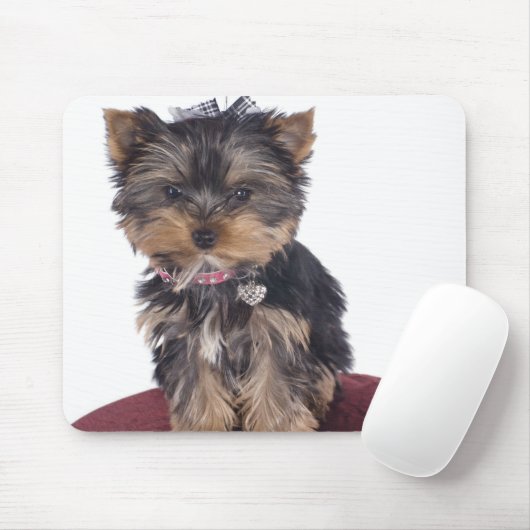 Yorkshire Mousepad (Mit Mouse)