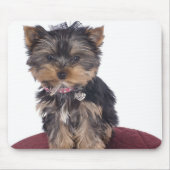 Yorkshire Mousepad (Vorne)