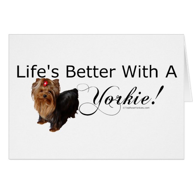 Yorkshire Terrier (Vorderseite (Horizontal))