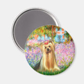 Yorkshire Terrier 1 - Garten Magnet (Vorderseite/Rückseite)