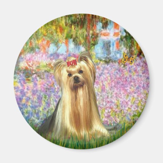 Yorkshire Terrier 1 - Garten Magnet (Vorne)