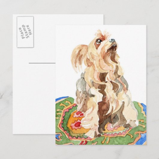 Yorkshire Terrier 2012 Postkarte (Vorne/Hinten)