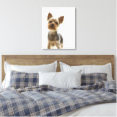 Yorkshire Terrier 2 Leinwanddruck (Insitu (Schlafzimmer))