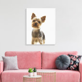 Yorkshire Terrier 2 Leinwanddruck (Insitu (Wohnzimmer))