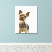 Yorkshire Terrier 2 Leinwanddruck (Insitu (Holzboden))