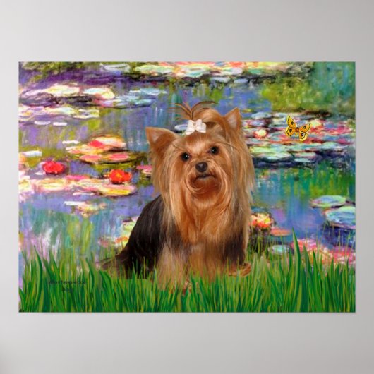 Yorkshire Terrier 7 - Lilies 2 Poster (Vorne)