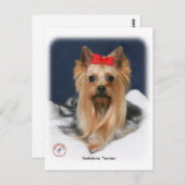 Yorkshire Terrier 9Y110D-019 Postkarte (Vorne/Hinten)