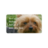 Yorkshire Terrier Adressaufkleber (Vorne)