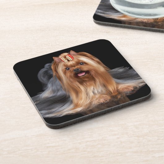 Yorkshire Terrier auf Schwarzem Getränkeuntersetzer (Linke Seite)