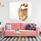 Yorkshire Terrier auf weißem Hintergrund Leinwanddruck (Insitu (Wohnzimmer))