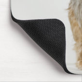 Yorkshire Terrier auf weißem Hintergrund Mousepad (Ecke)