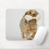 Yorkshire Terrier auf weißem Hintergrund Mousepad (Mit Mouse)