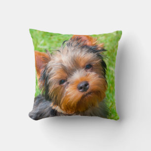Yorkshire Terrier aufblickend Kissen