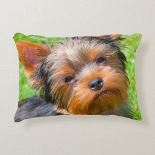 Yorkshire Terrier aufblickend Zierkissen