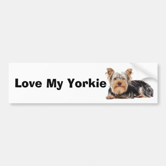 Yorkshire Terrier Autoaufkleber (Vorne)