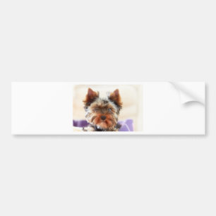 Yorkshire Terrier Autoaufkleber