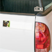 Yorkshire-Terrier-Autoaufkleber Autoaufkleber (Auf Lkw)