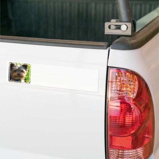 Yorkshire-Terrier-Autoaufkleber Autoaufkleber (Auf Lkw)
