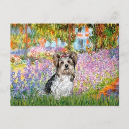 Yorkshire Terrier (Biewer) - Garten Postkarte (Vorderseite)
