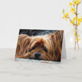 Yorkshire Terrier Blank Greeting Card Karte (Gelbe Blume)