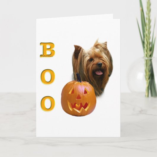 Yorkshire Terrier Boo Karte (Vorderseite)