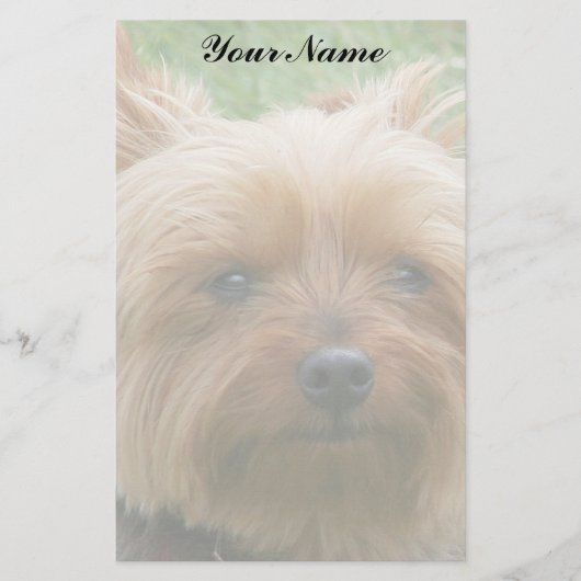 Yorkshire Terrier Briefpapier (Vorderseite)