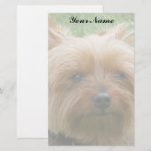 Yorkshire Terrier Briefpapier (Vorne/Hinten)