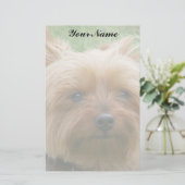 Yorkshire Terrier Briefpapier (Stehend Vorderseite)