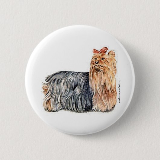 Yorkshire Terrier Button (Vorderseite)