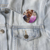 Yorkshire Terrier Button (Beispiel)
