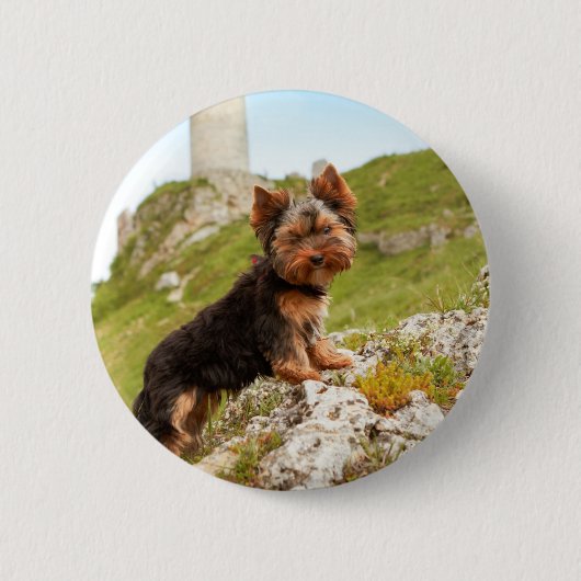 Yorkshire Terrier Button (Vorderseite)