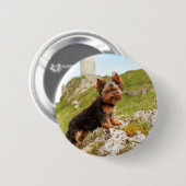 Yorkshire Terrier Button (Vorne & Hinten)