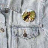 Yorkshire Terrier Button (Beispiel)