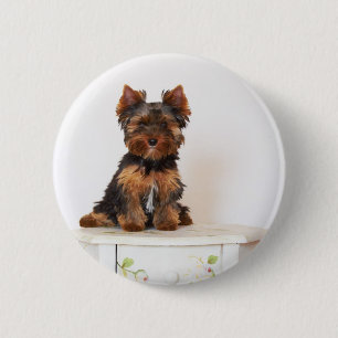 Yorkshire Terrier Button