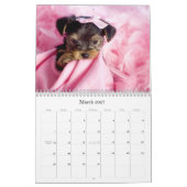 Yorkshire Terrier Calendar Kalender (Mär 2027)