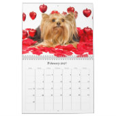 Yorkshire Terrier Calendar Kalender (Feb 2027)