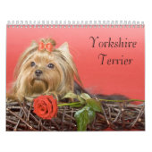 Yorkshire Terrier Calendar Kalender (Titelbild)