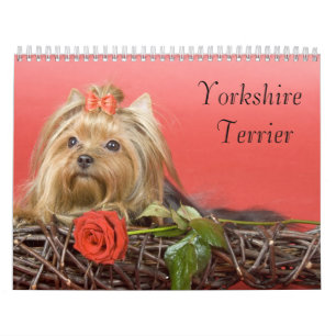 Yorkshire Terrier Calendar Kalender